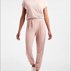 Express Super Soft Sueded Jersey Joggers